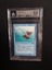 Flying Men BGS 8.5 NM-MT+ Arabian Nights MTG Magic Graded Card